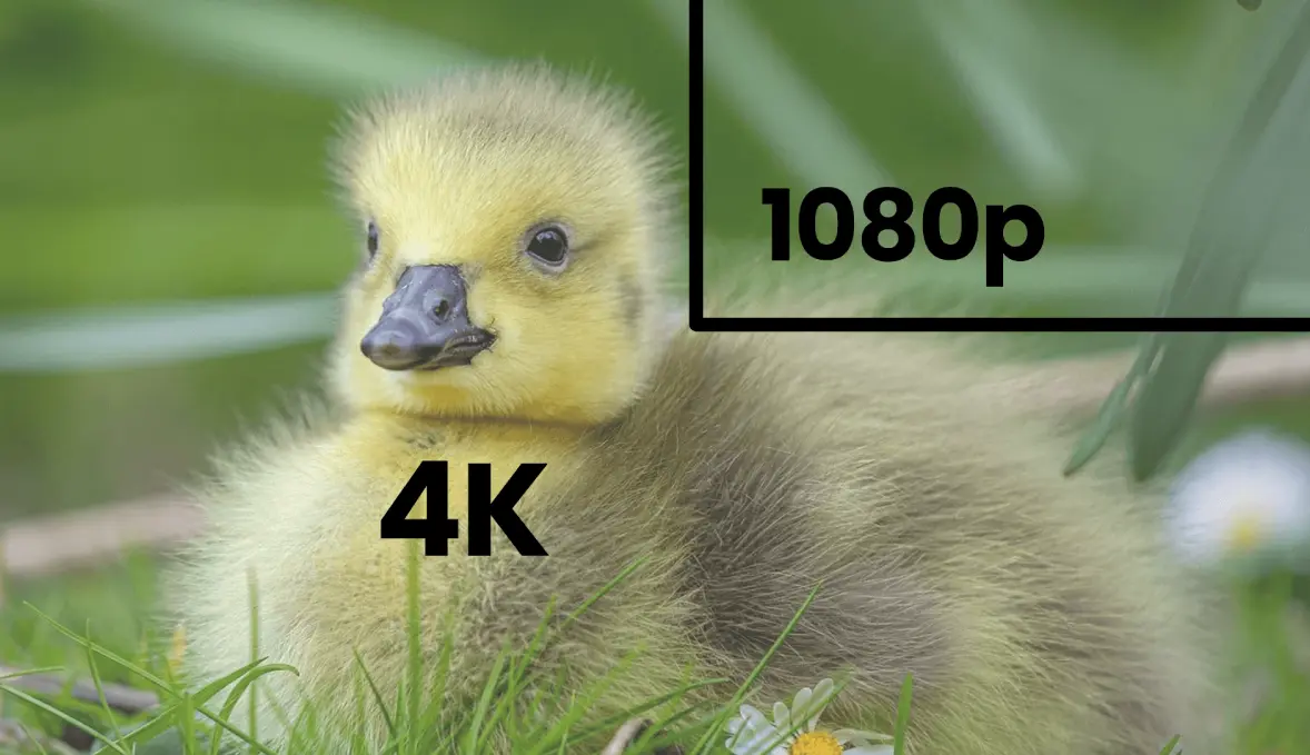 مقایسه کیفیت تصویر Full HD و 4K